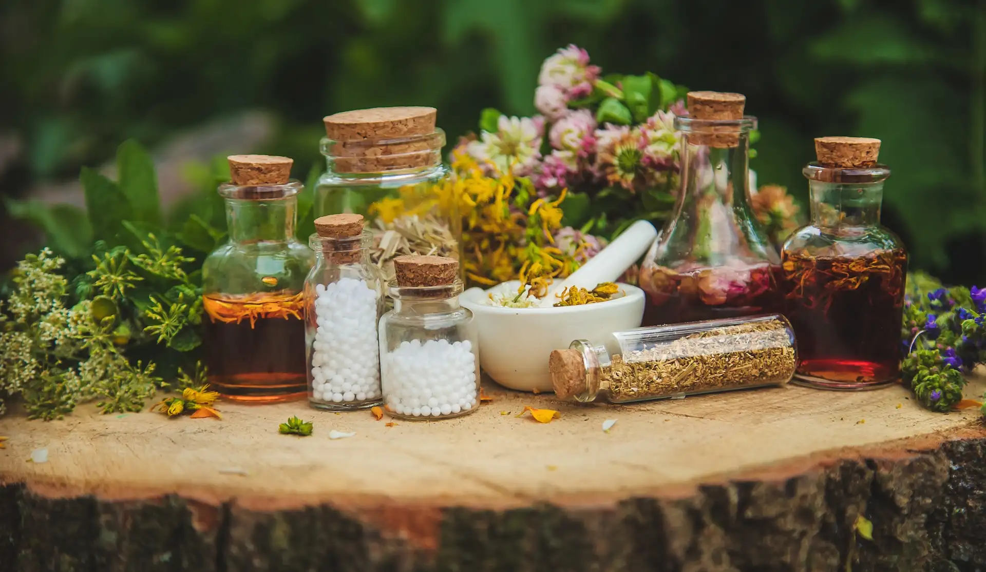 3 Days Ayurvedic Treatments at Wellness by Heartfulness In Telangana