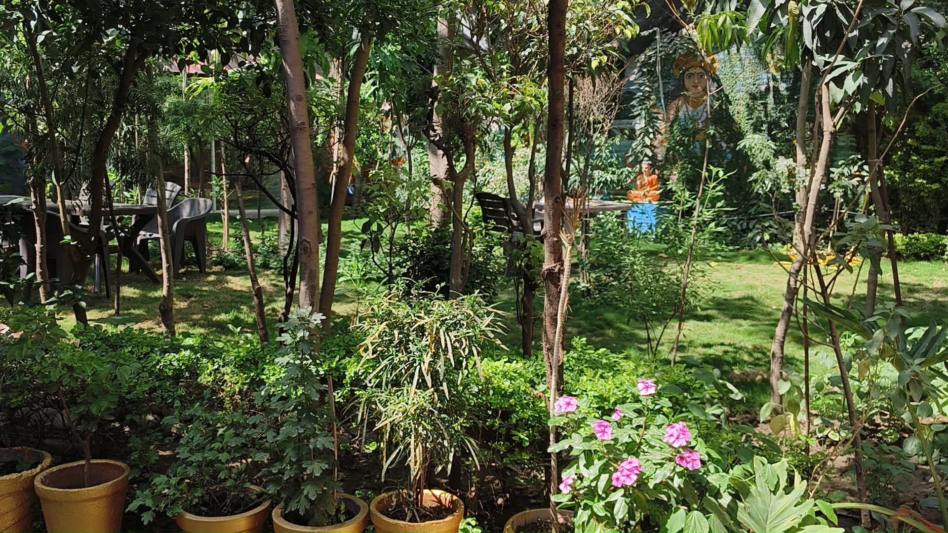 7 Days Ayurvedic Retreat At Maa Yoga In RIshikesh