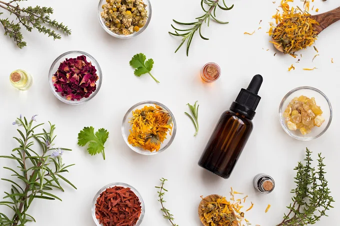 15 Days Ayurvedic Body Transformation In Rishikesh