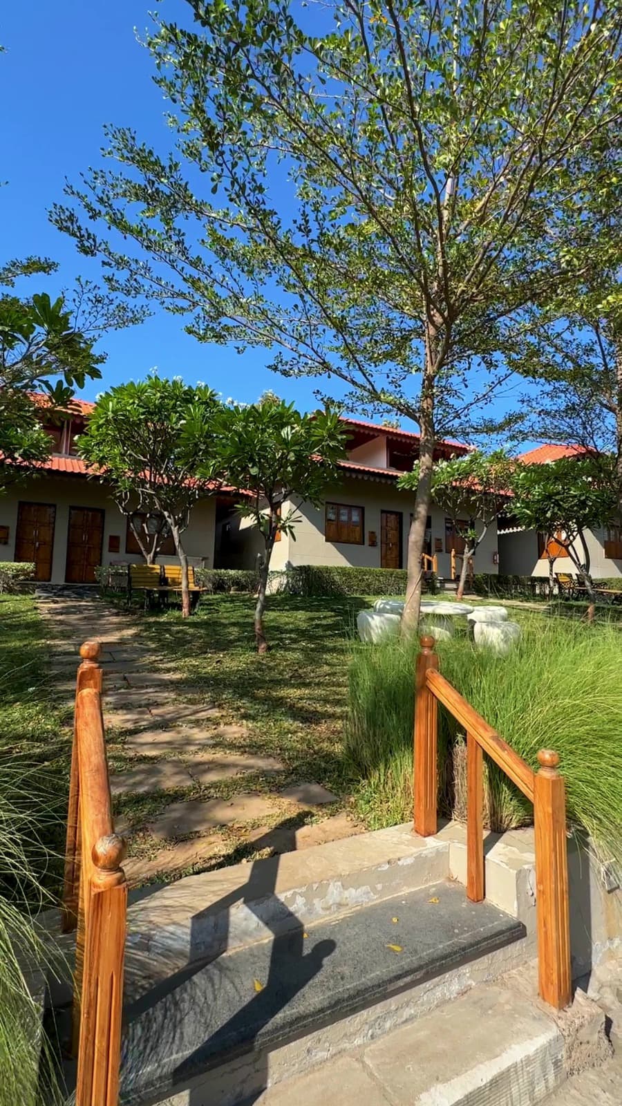 Body Detox & De-stress Program At The Meadow Wellness Rajkot