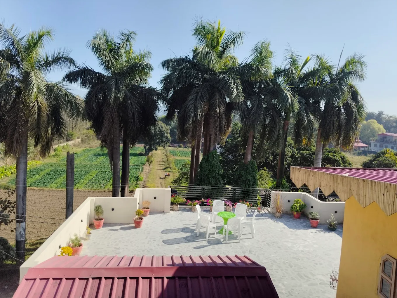 1 Day Yoga Retreat in Sai Veda Wellness