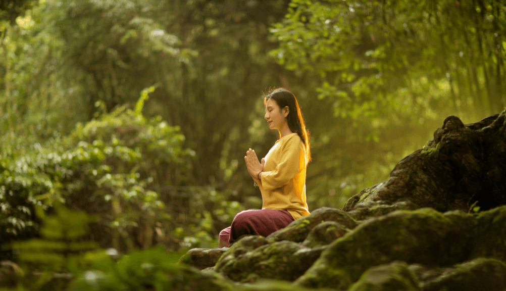 3 Days Corporate Yoga Retreat In Haridwar