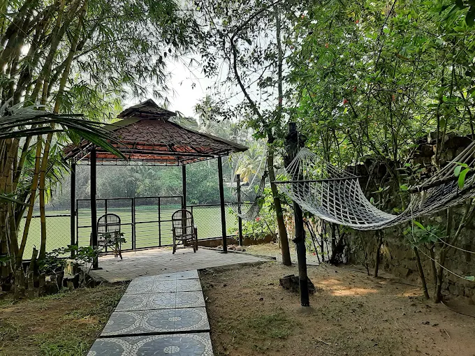15 Days Panchakarma (Detox) Treatments In Kerala