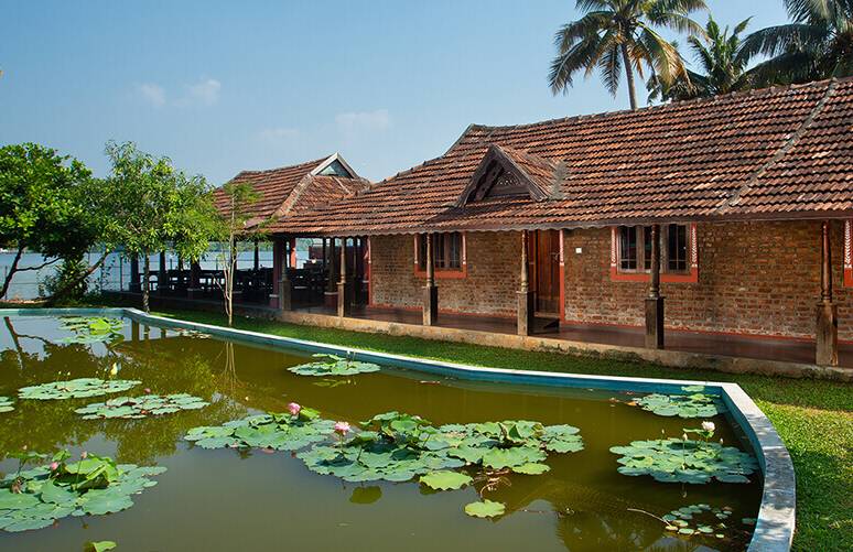7 Days Ayurvedic Punarjani Purification Programme In Kerala