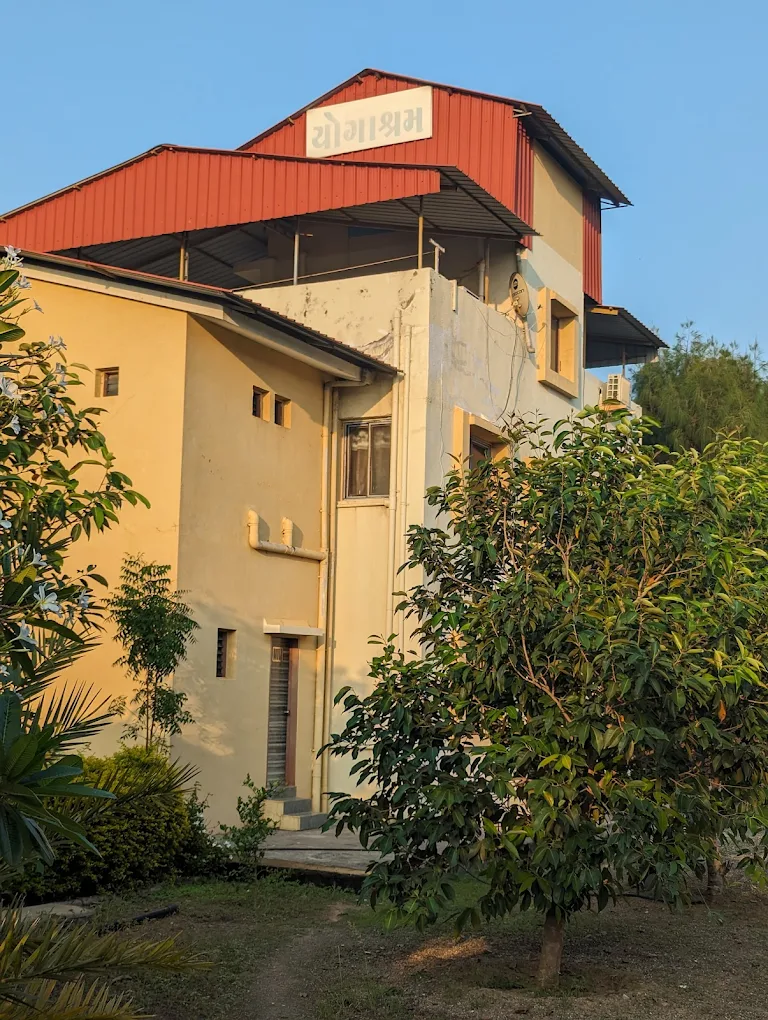 Body Detox & De-stress Program At The Meadow Wellness Junagadh