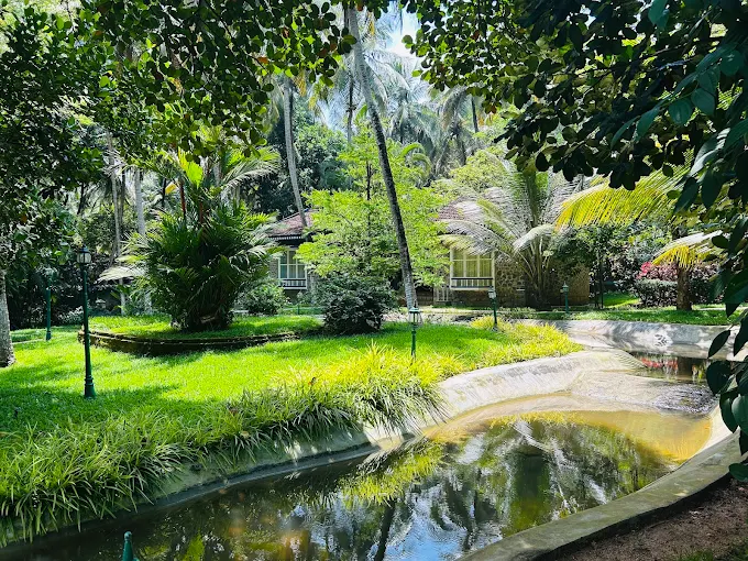 4 Days Regenerative Body Detox Program in Kerala