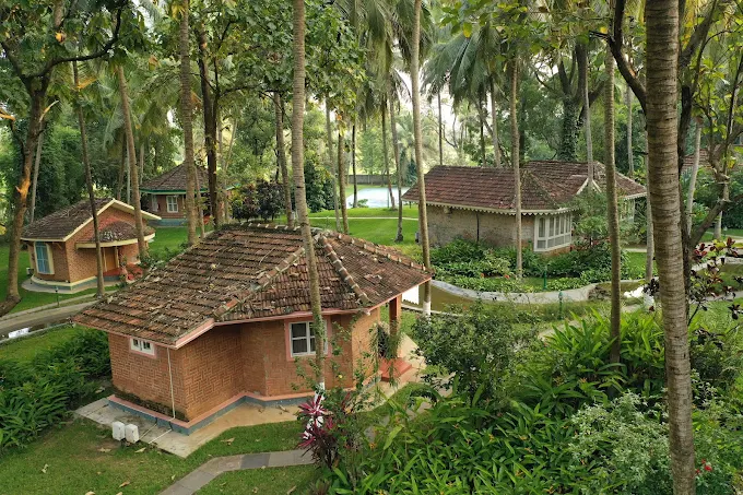8 Days Ayurvedic Sinus & Migraine Relief Treatment in Kerala