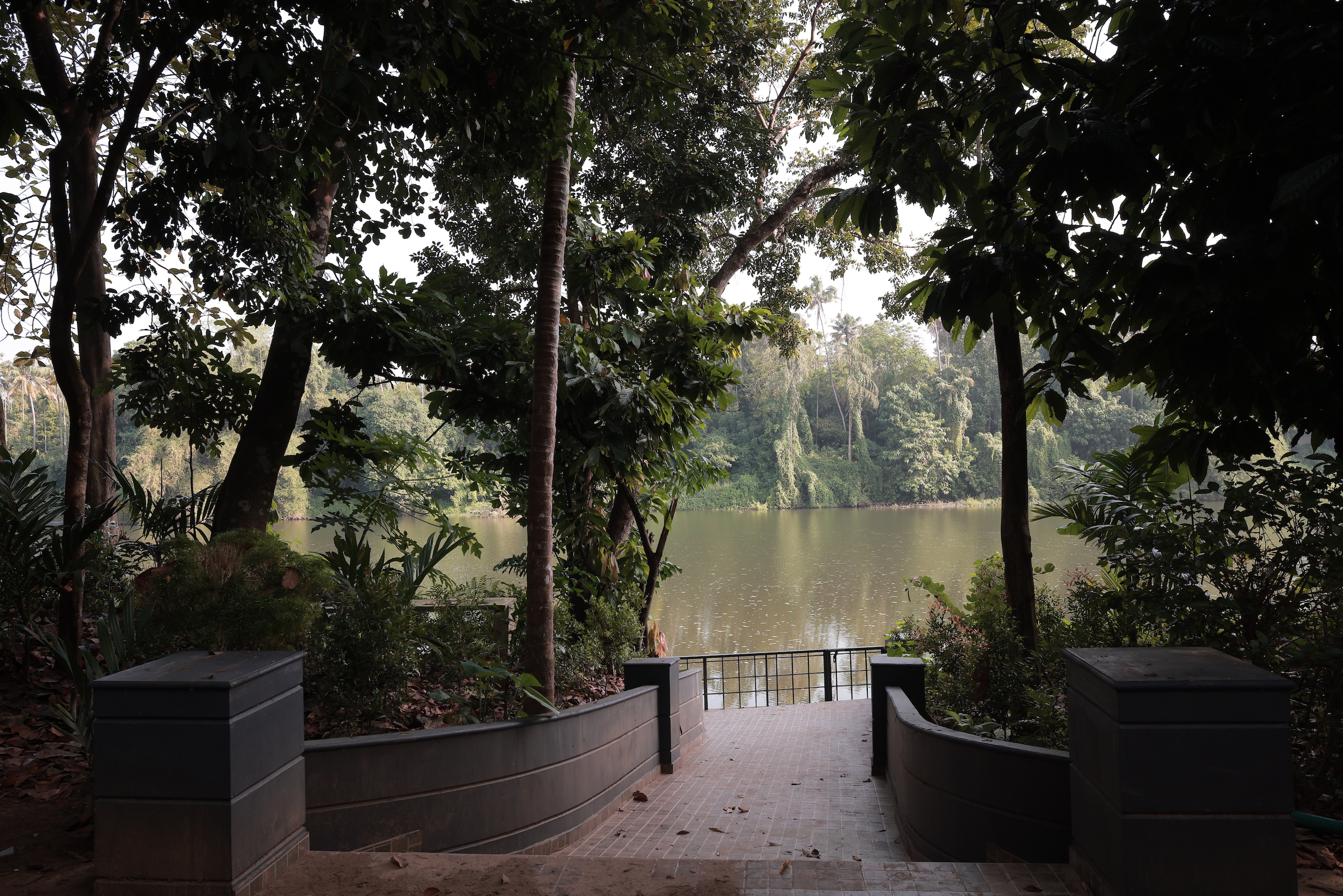 14 Days Detox & Purify In Kerala