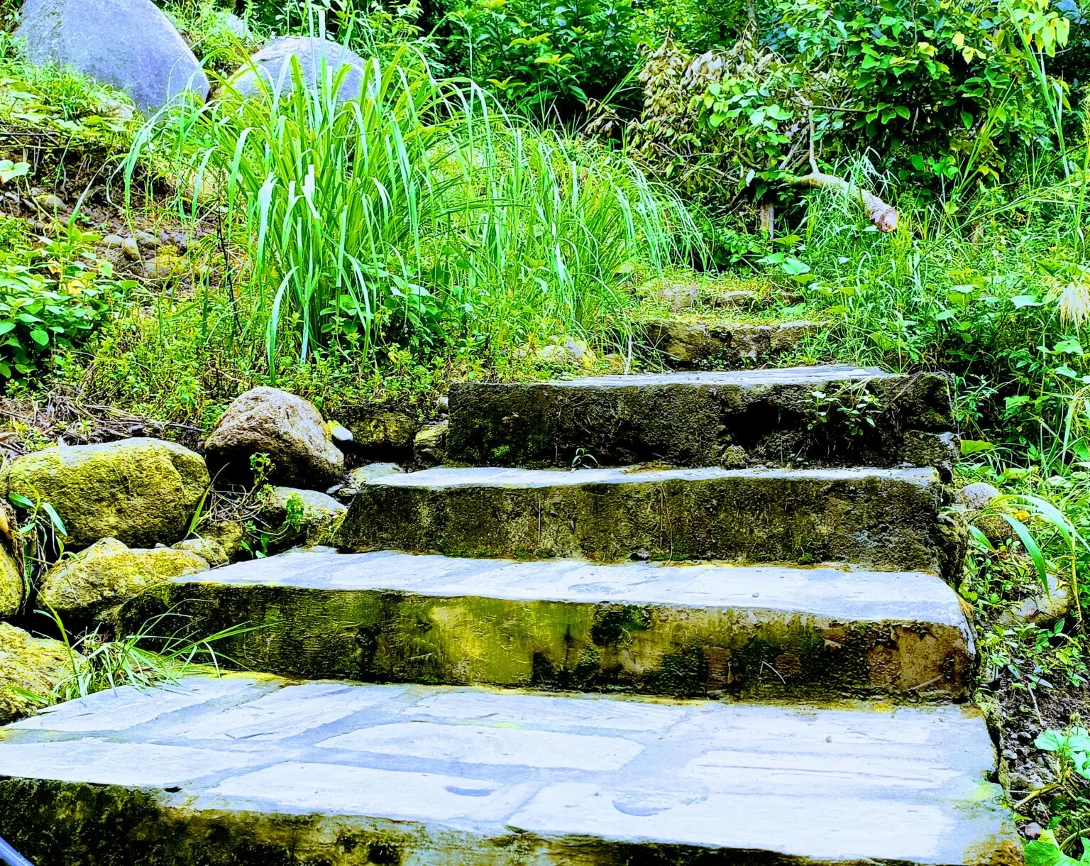 30-Days Yogic Detox & Lifestyle Reset Retreat In SaptRashmi Wellness