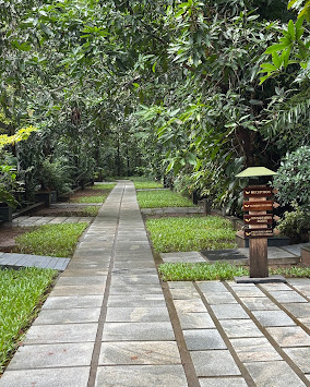 7 Days Luxury Serenity Retreat In Kerala