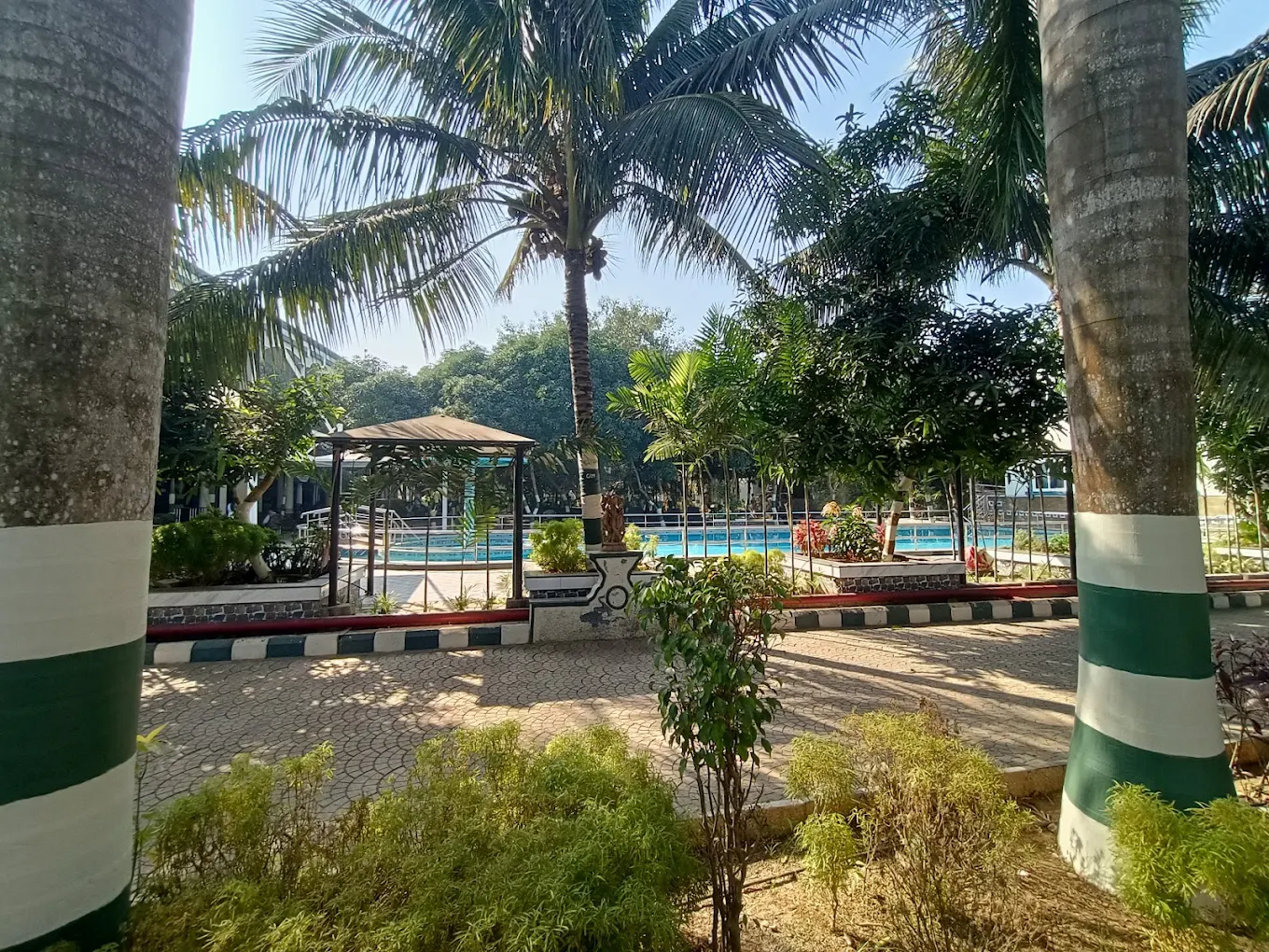 4 Day Relaxation Retreat in Healthville Wellness Center