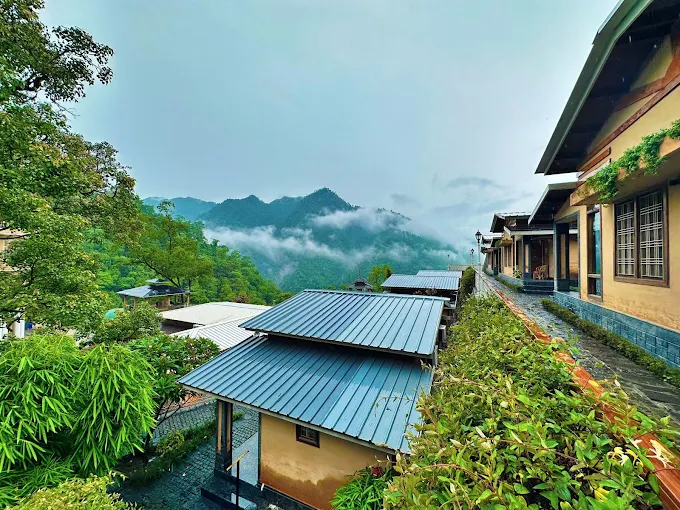 7 Days Ayurveda Retreats Abhayaranya Ashram