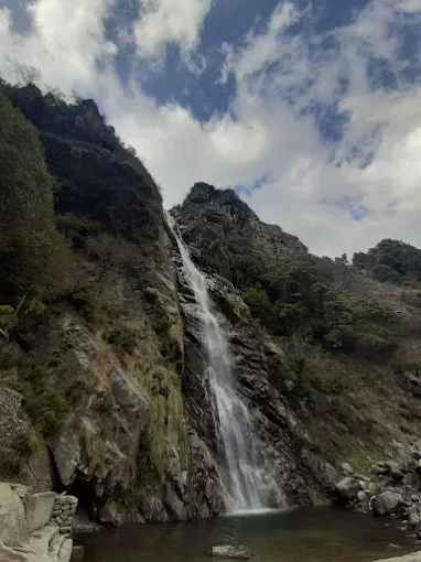 1 Day Soulful Yoga In Dharamshala