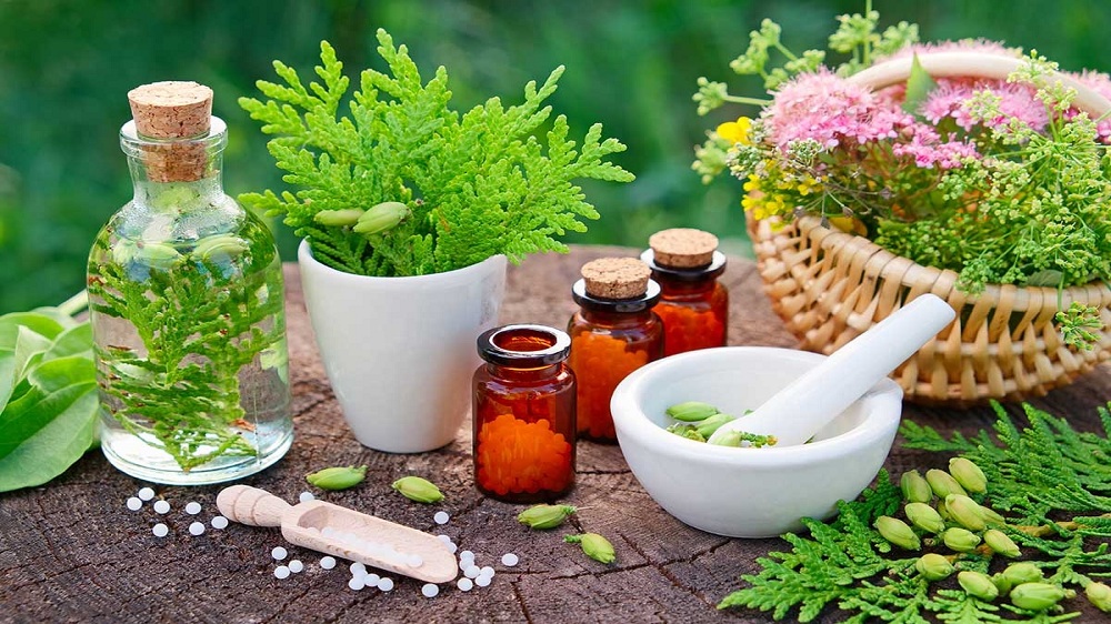 7 Days Naturopathy Treatment At Kshemavana