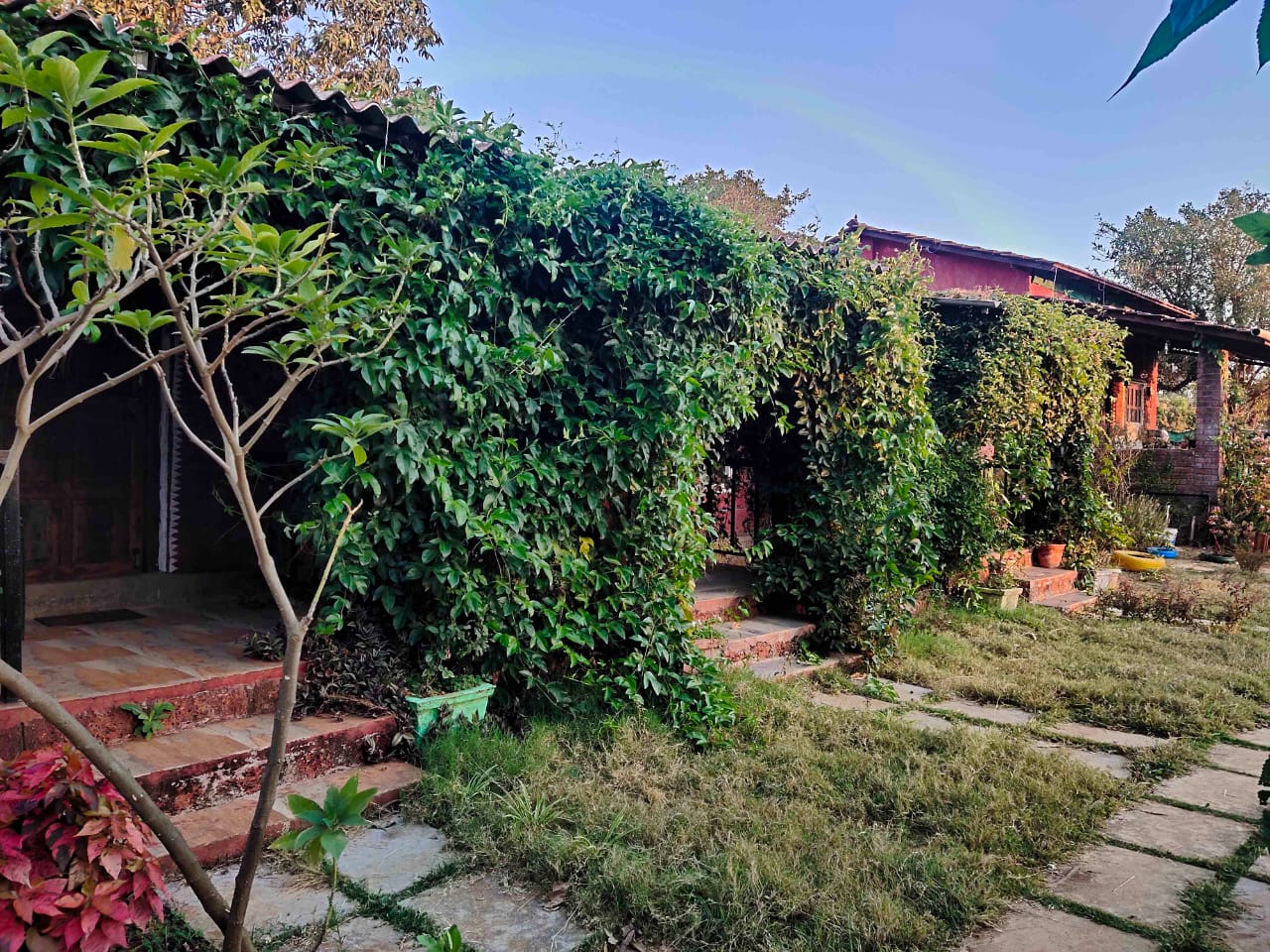 5 Day Yoga Retreat In Nashik