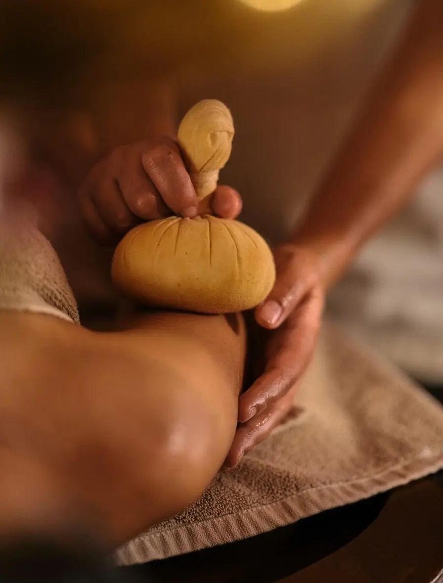 Luxury Panchakarma Detox Retreat In Rajasthan