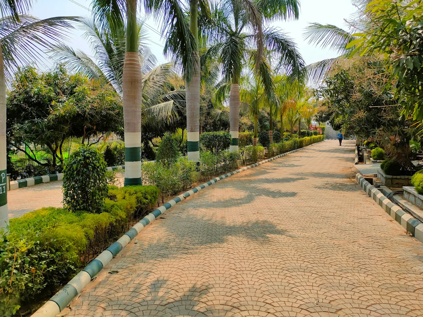 Weekend Wellness Retreat At Bhubaneswar
