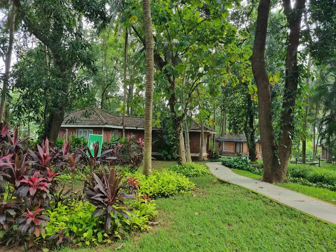 4 Days Regenerative Body Detox Program in Kerala