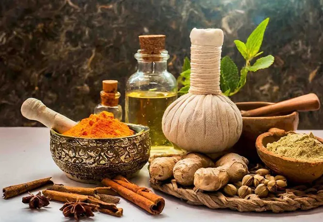 4 Days Rejuvenation program In Maharashtra