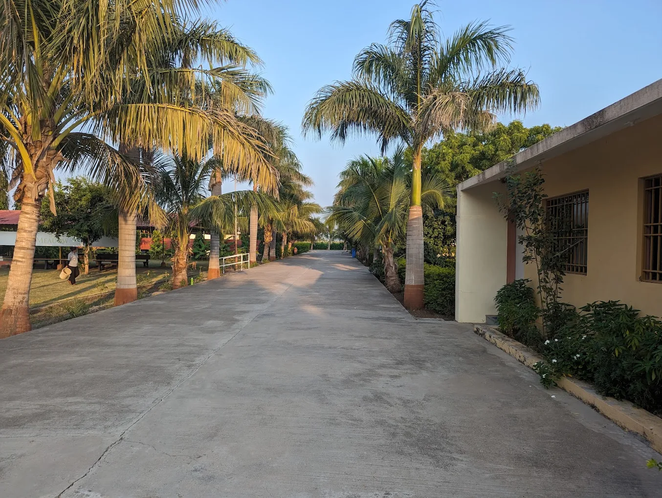 Body Detox & De-stress Program At The Meadow Wellness Junagadh
