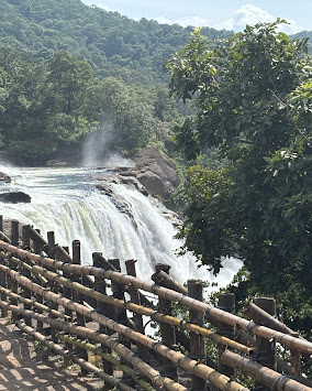 14 Days Authentic Panchakarma in Kerala