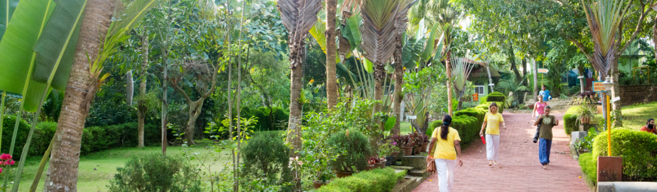 Yoga Vacation Retreat in Kerala