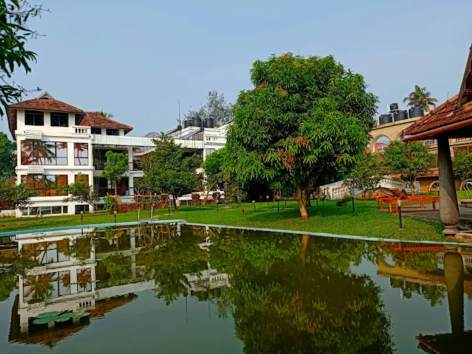 7 Days Ayurvedic Punarjani Purification Programme In Kerala