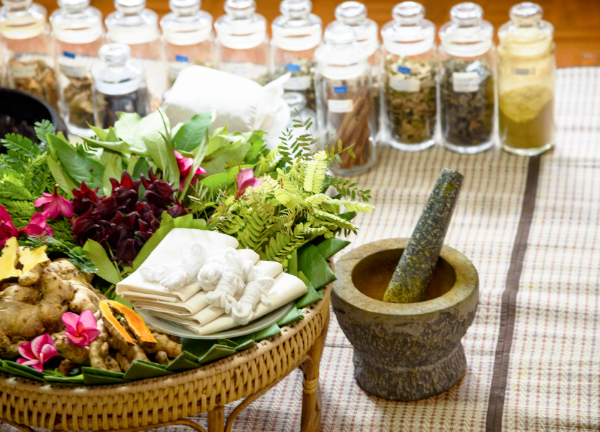 2 Day Yogic Vitality Detox Retreat in Pune