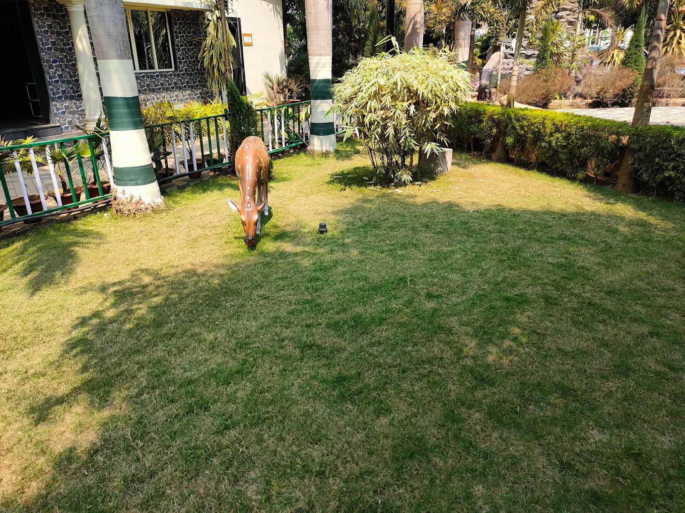 10 Day Naturopathy Treatment in Healthville Wellness Center