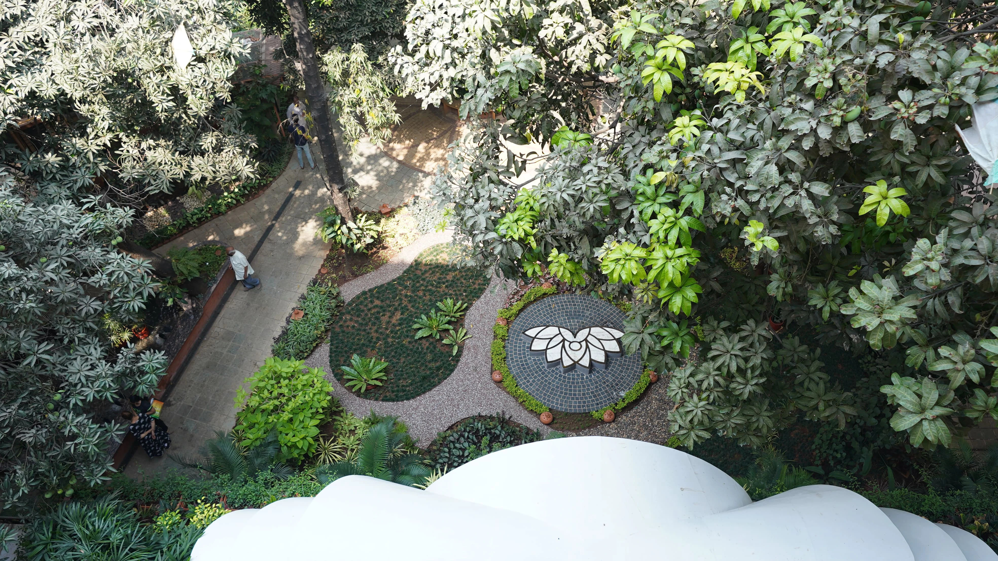Forest Yoga Retreat in Alibaug