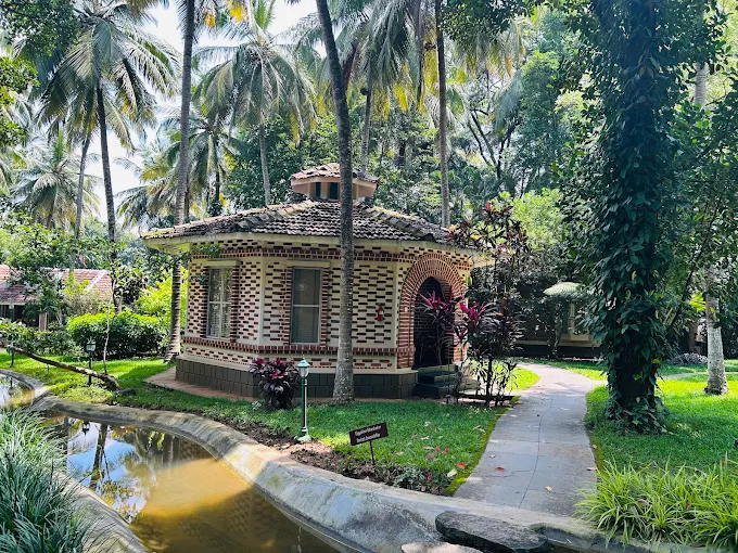 8 Days Ayurvedic Sinus & Migraine Relief Treatment in Kerala