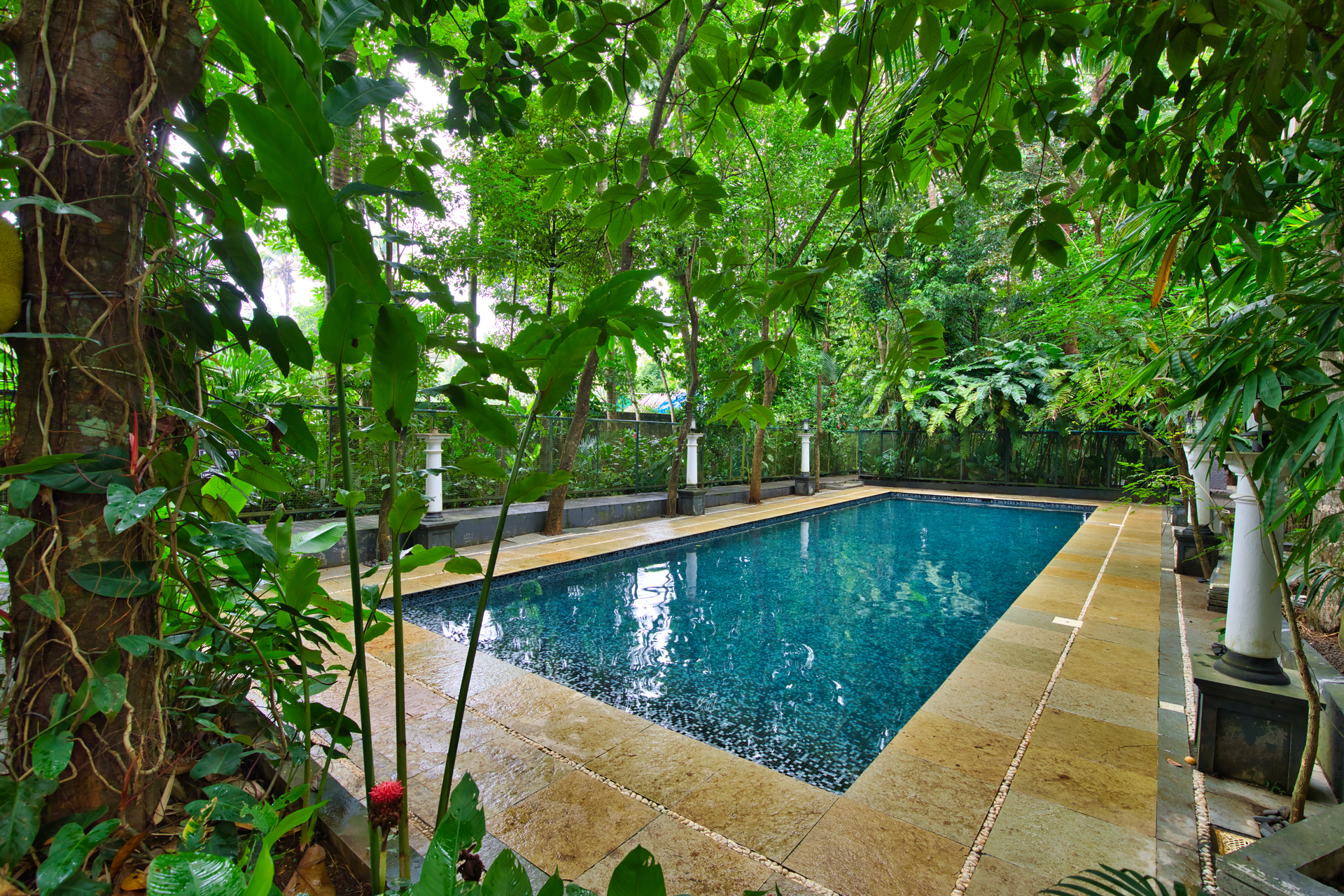 7 Days Luxury Serenity Retreat In Kerala