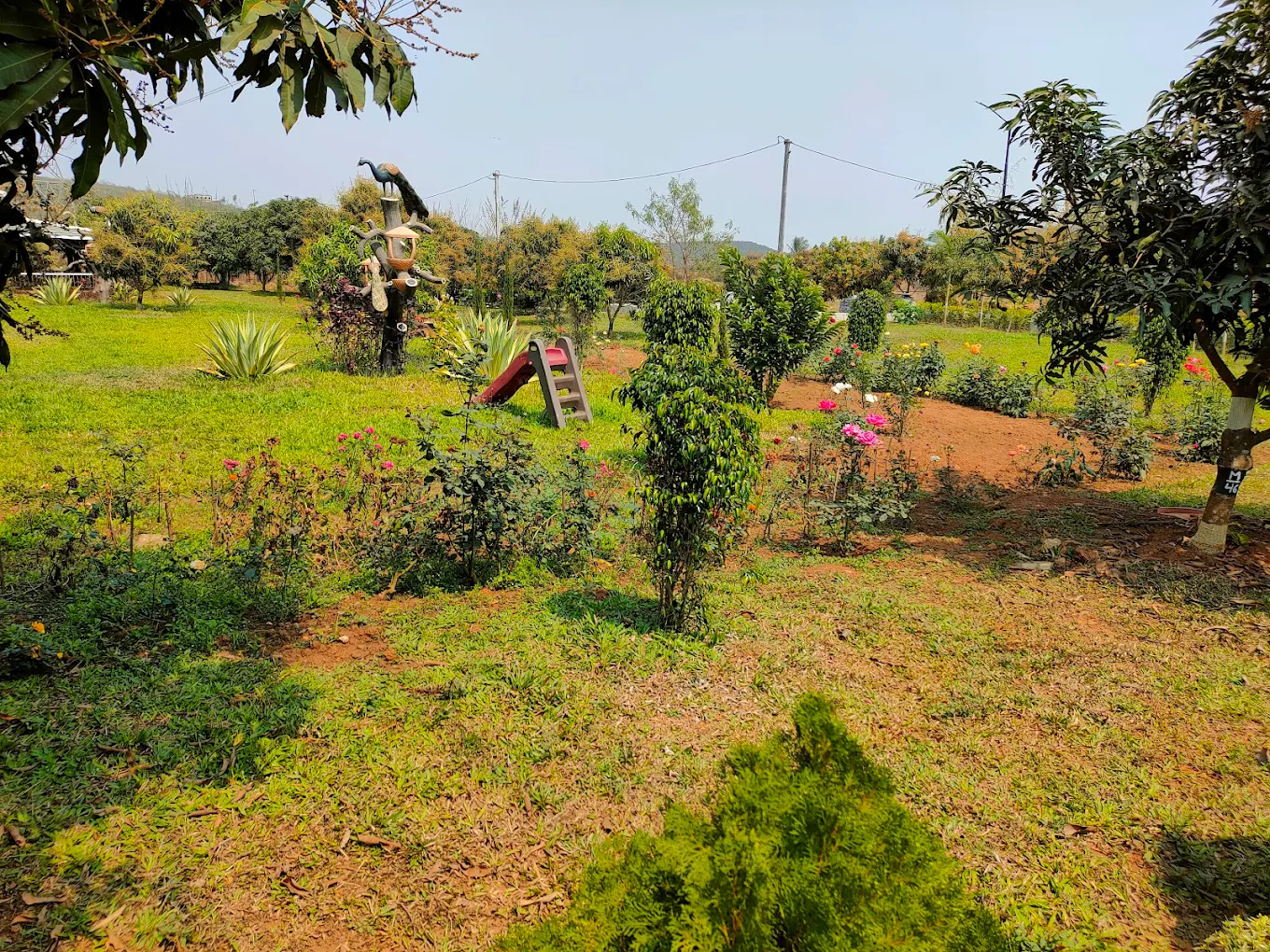 7 Day Ayurveda Treatment At Bhubaneswar