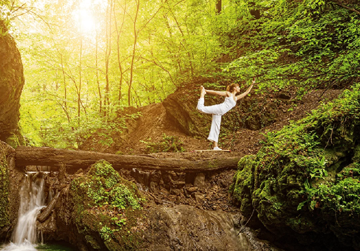 5 Day Naturopathy Retreat In Gurgaon
