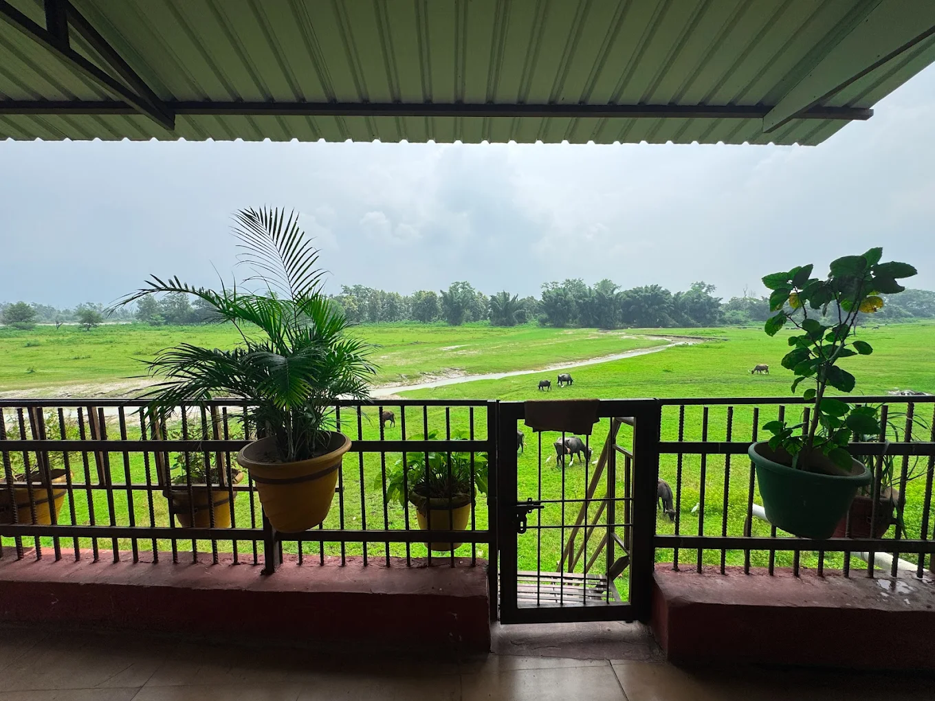 Yan Cure Yoga and Meditation Retreat in Rishikesh