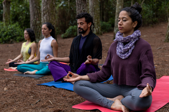 1 Day Soulful Yoga In Dharamshala