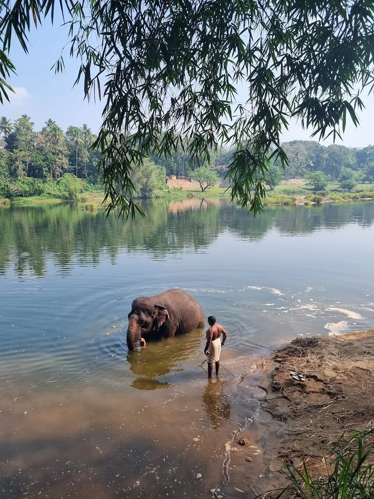 4 Day Yoga Retreat in Kerala