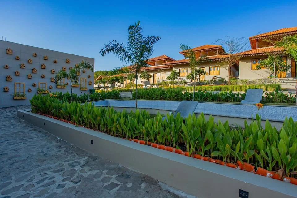 Body Detox & De-stress Program At The Meadow Wellness Rajkot
