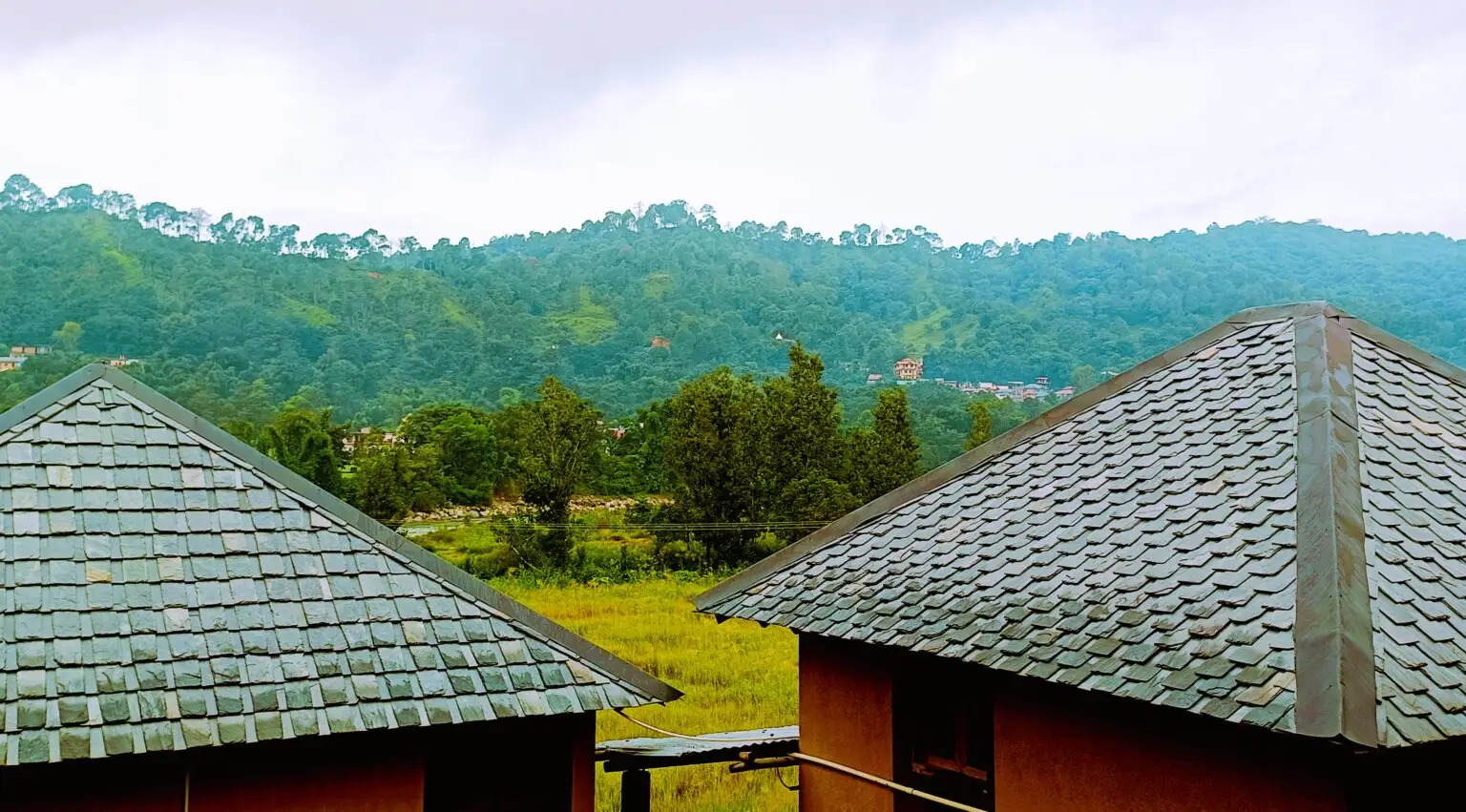 30-Days Yogic Detox & Lifestyle Reset Retreat In SaptRashmi Wellness